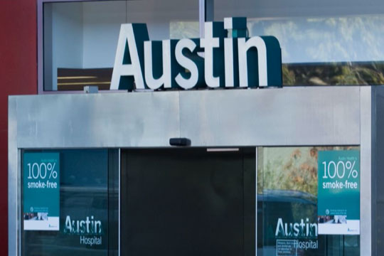 Starbo �Ǳ���(�й���) - �ٷ���վѪС�幦Ч�ǻ�ø����������Ȩ���Ͽɺͽ��ɣ�