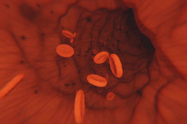 ѪС�幦Ч����ٴ�Ӧ��ϣ����Ӧ�����Ĺ�ʧ