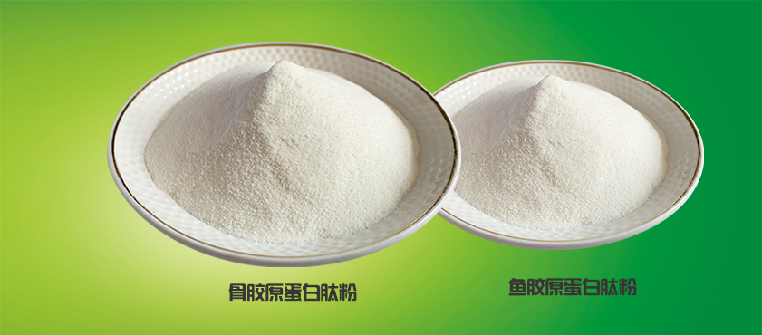 1583732140376404.jpg 骨+鱼胶原蛋白.jpg