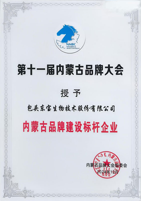 1735016947883467.jpg 品牌建设标杆企业幼图.jpg